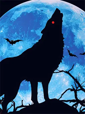 开局选择魔功，我能无限转世秦寿秦怀安最新好看小说_已完结小说开局选择魔功，我能无限转世秦寿秦怀安