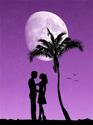 首辅夜夜低哄：恶女她以下犯上萧沉砚沈清梧最新小说全文阅读_在线免费小说首辅夜夜低哄：恶女她以下犯上(萧沉砚沈清梧)