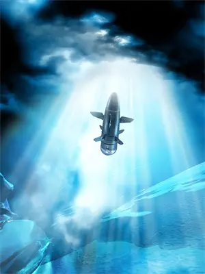 春秋花朵袖子上衣